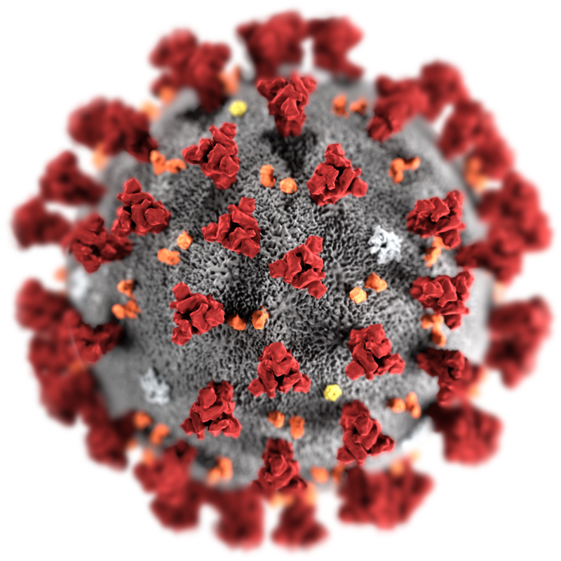 illustration of corona virus